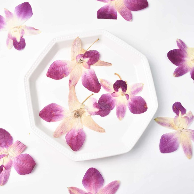 4pcs,Real Pressed Butterfly Or - Art Craft Butterfly บทวิจารณ์และราคา