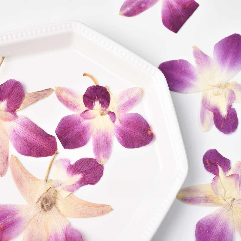 4pcs,Real Pressed Butterfly Or - Art Craft Butterfly บทวิจารณ์และราคา