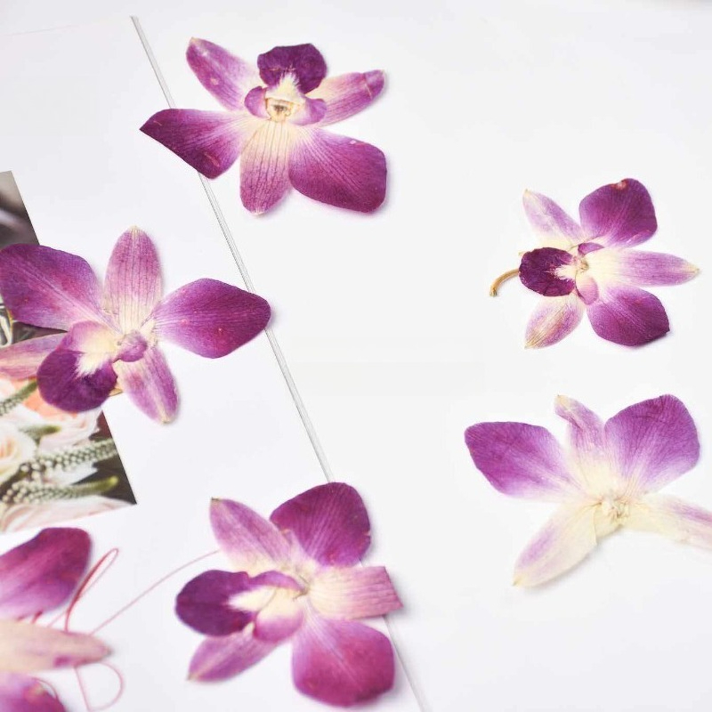 4pcs,Real Pressed Butterfly Or - Art Craft Butterfly บทวิจารณ์และราคา