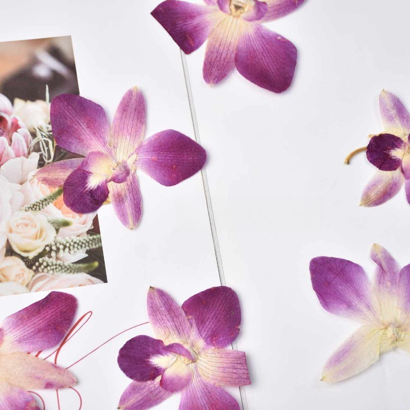 4pcs,Real Pressed Butterfly Or - Art Craft Butterfly บทวิจารณ์และราคา