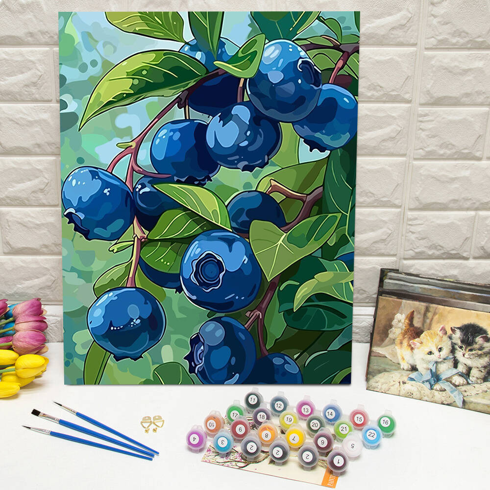 DIY Drawing By Numbers Blueber - Art Craft Number บทวิจารณ์และราคา