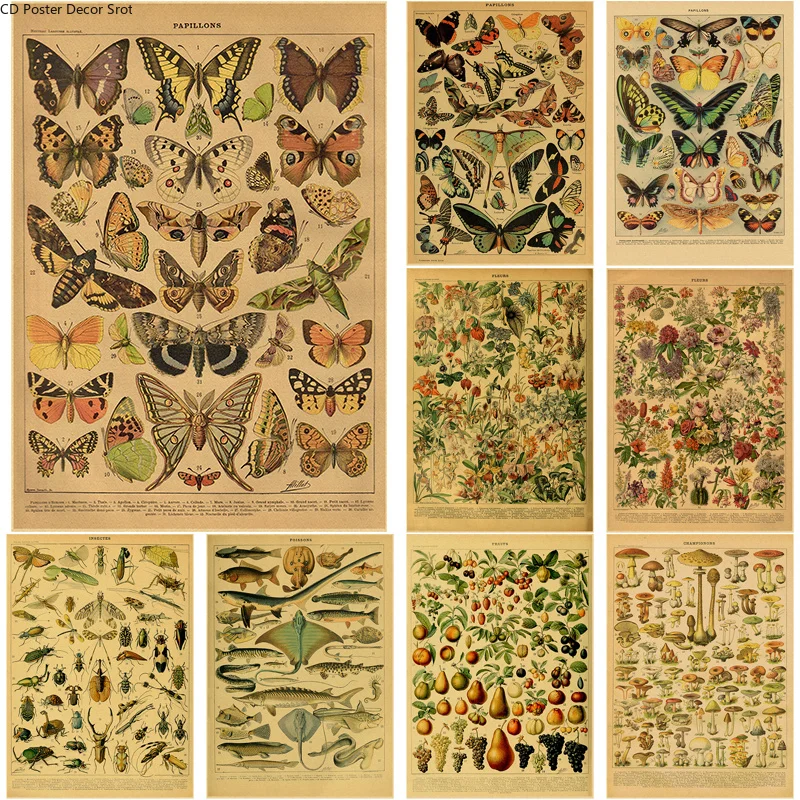Butterfly Insect Flower Mushro - Art Craft Butterfly บทวิจารณ์และราคา